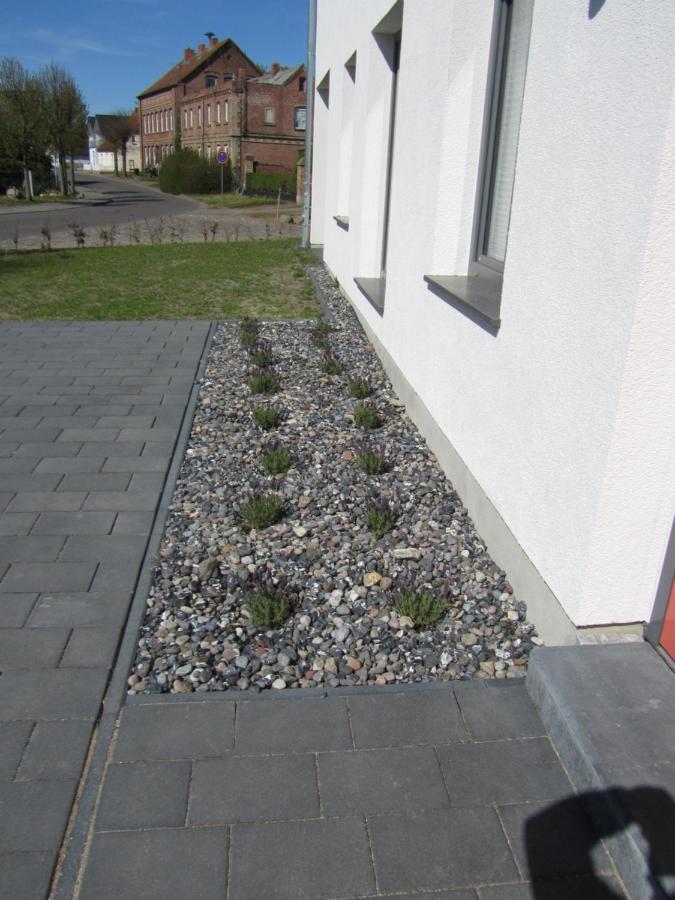 Reusenhaus Nord Vila Breege Exterior foto